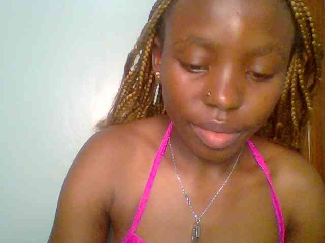 chocolate-brownie webcam