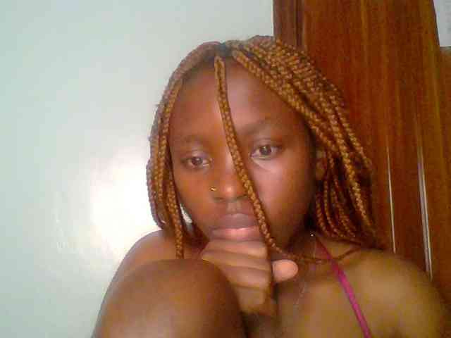 chocolate-brownie webcam