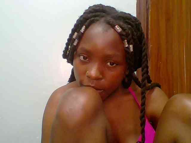 chocolate-brownie webcam