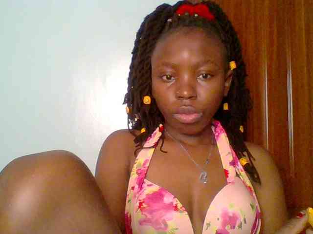 chocolate-brownie webcam