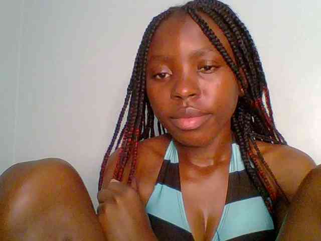 chocolate-brownie webcam