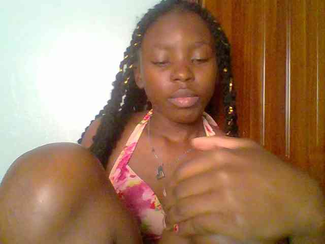 chocolate-brownie webcam