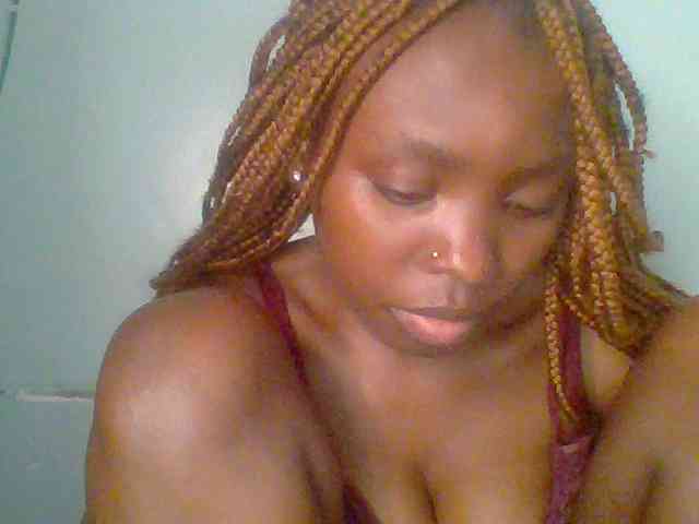 chocolate-brownie webcam