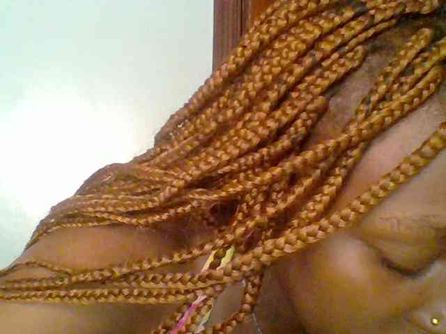 chocolate-brownie webcam