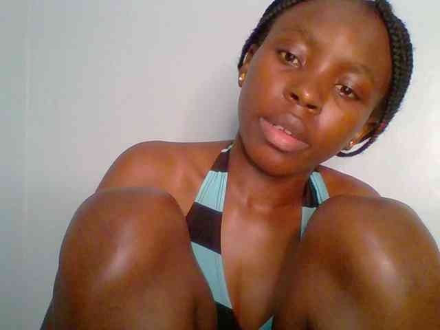 chocolate-brownie webcam