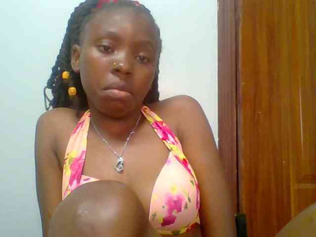 chocolate-brownie webcam