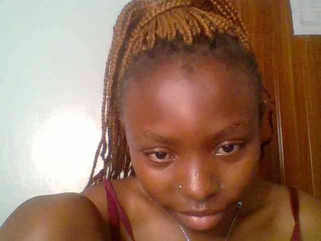 chocolate-brownie webcam