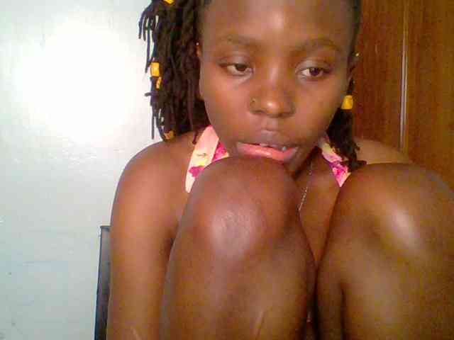 chocolate-brownie webcam