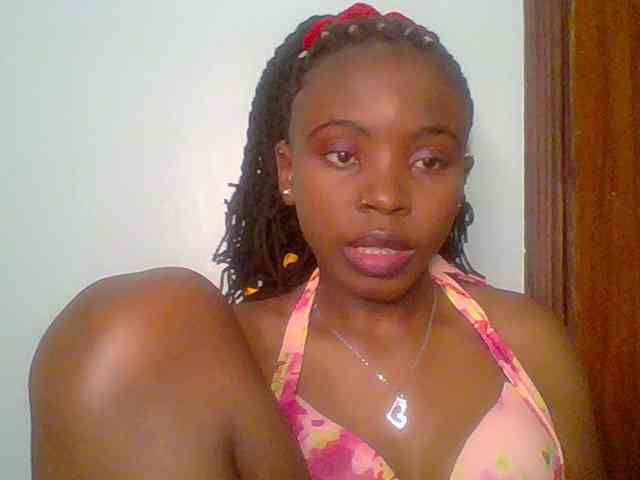 chocolate-brownie webcam