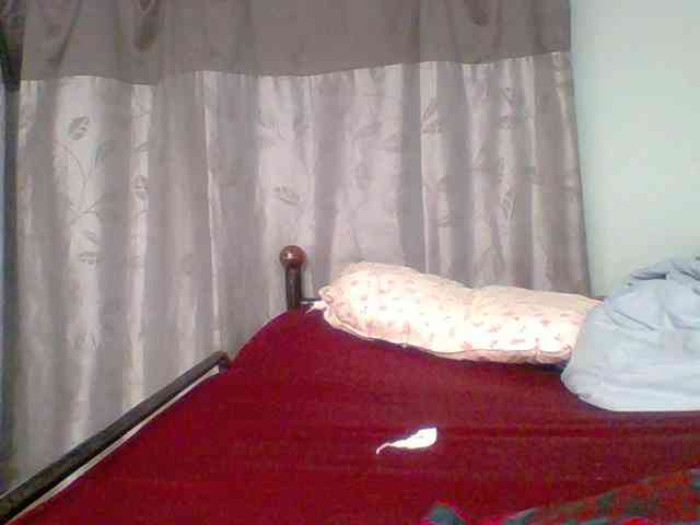 chocolate-brownie webcam