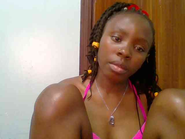 chocolate-brownie webcam