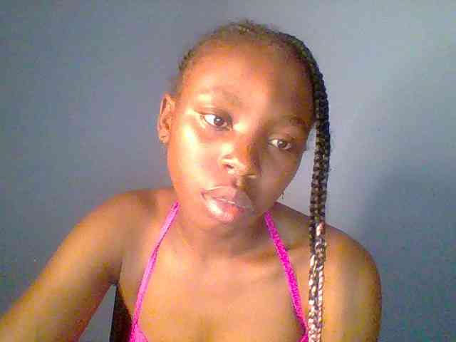 chocolate-brownie webcam