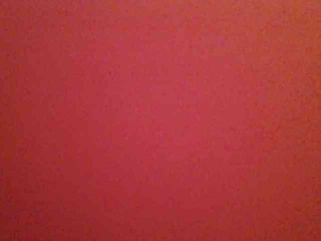 chocolate-brownie webcam