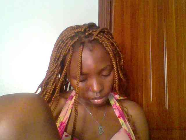 chocolate-brownie webcam