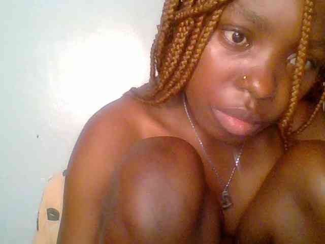 chocolate-brownie webcam