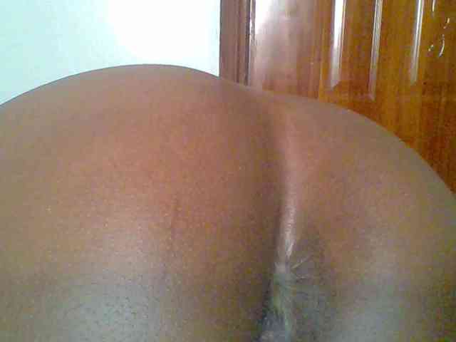 chocolate-brownie webcam