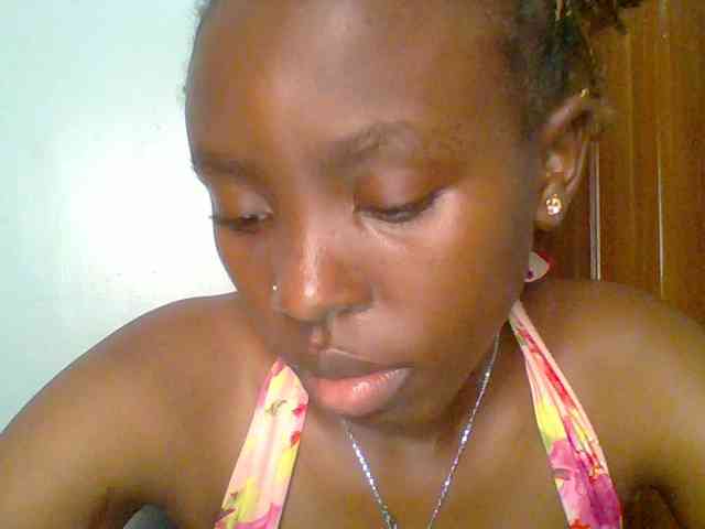 chocolate-brownie webcam