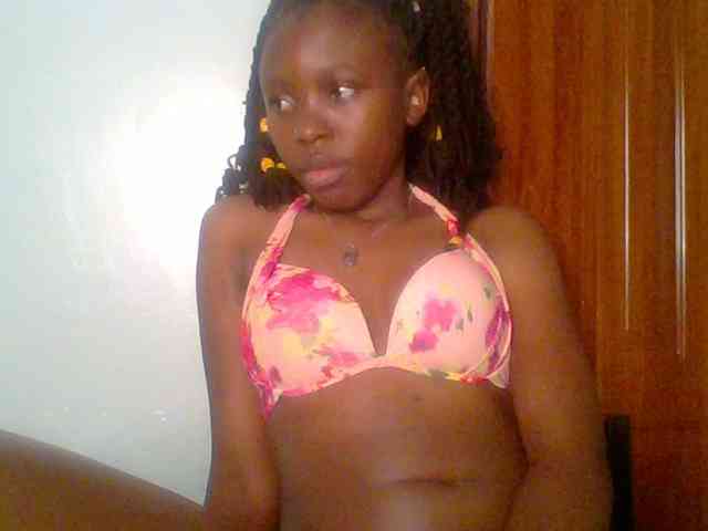 chocolate-brownie webcam