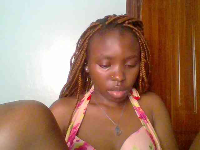 chocolate-brownie webcam