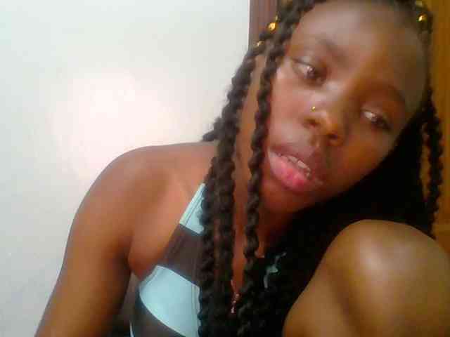 chocolate-brownie webcam