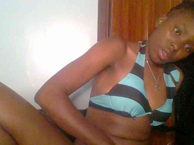 chocolate-brownie webcam