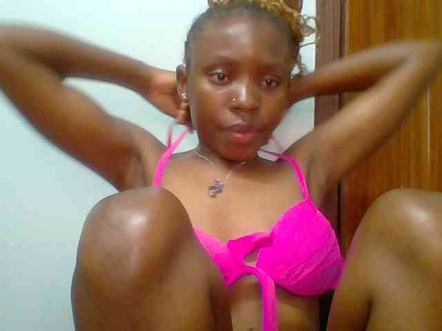 chocolate-brownie webcam