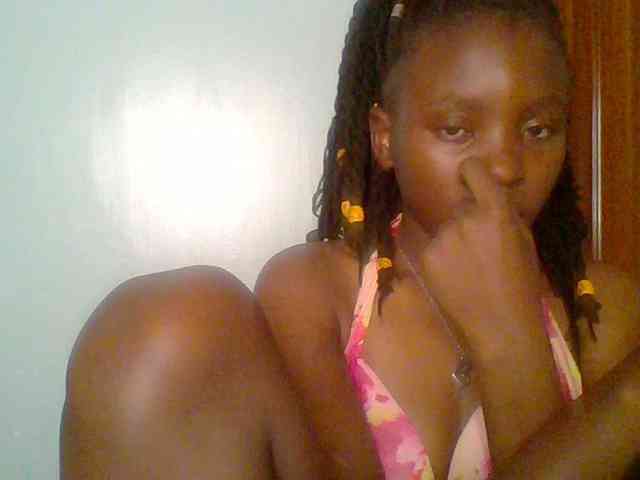 chocolate-brownie webcam