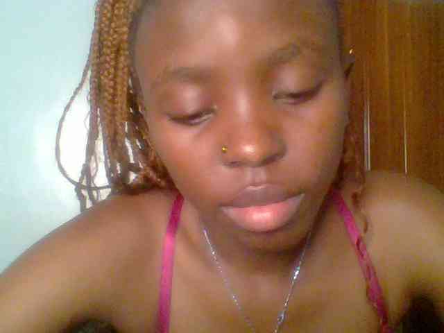 chocolate-brownie webcam