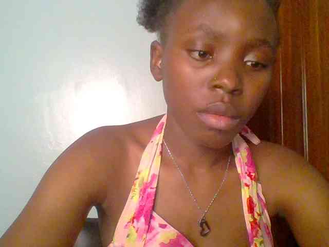 chocolate-brownie webcam