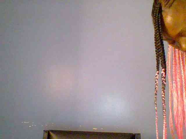 chocolate-brownie webcam