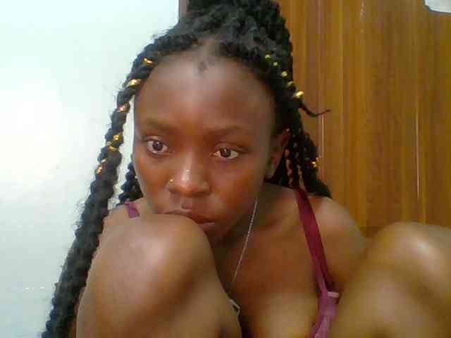 chocolate-brownie webcam