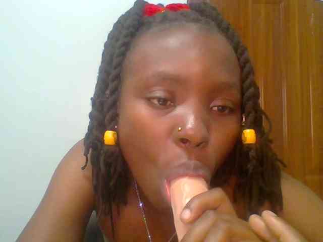 chocolate-brownie webcam