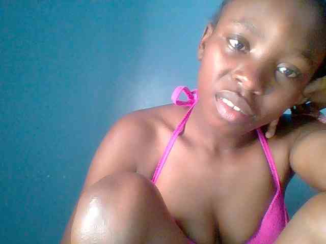 chocolate-brownie webcam