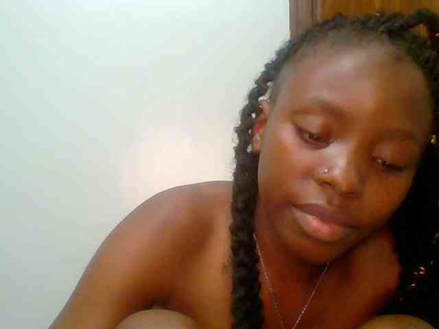 chocolate-brownie webcam