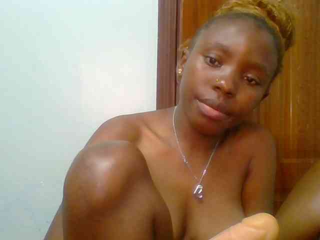 chocolate-brownie webcam