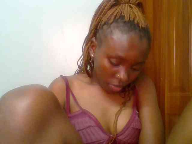 chocolate-brownie webcam