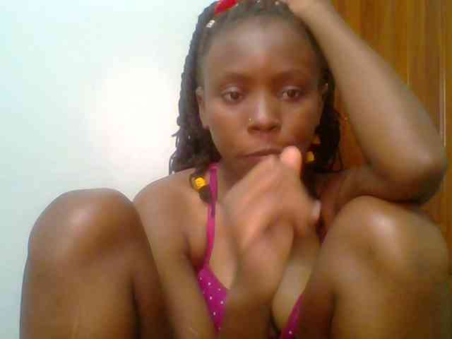 chocolate-brownie webcam