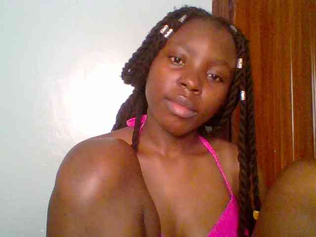 chocolate-brownie webcam