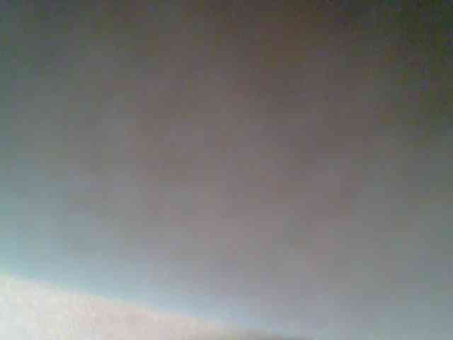 chocolate-brownie webcam