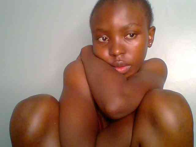 chocolate-brownie webcam