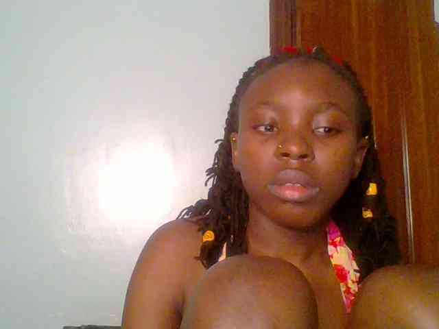 chocolate-brownie webcam