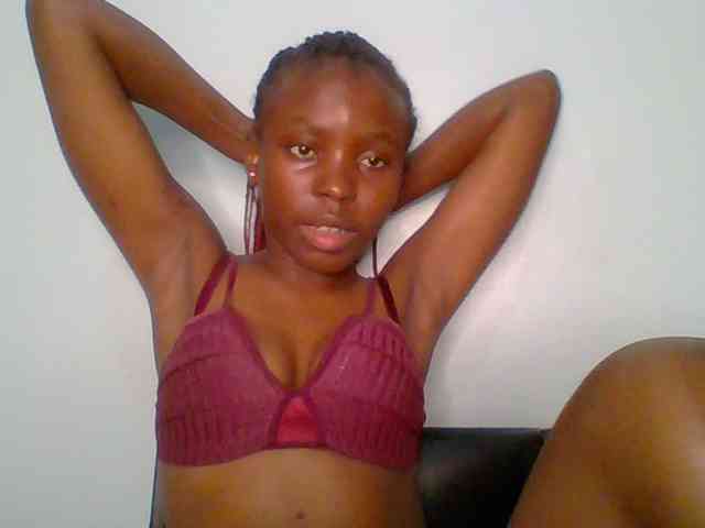 chocolate-brownie webcam