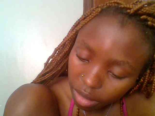 chocolate-brownie webcam