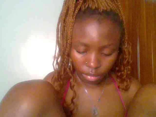 chocolate-brownie webcam