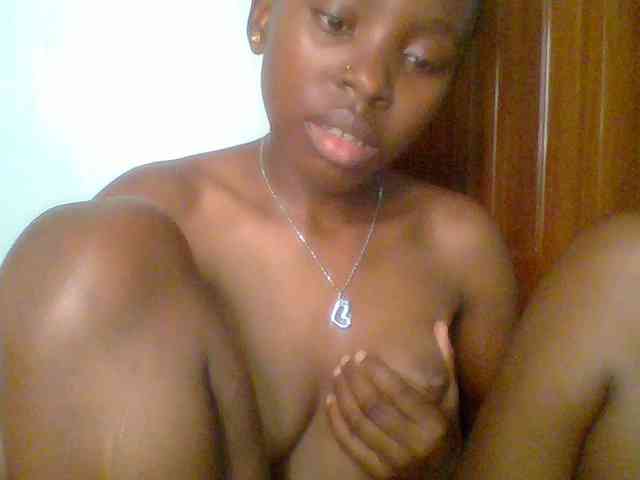 chocolate-brownie webcam