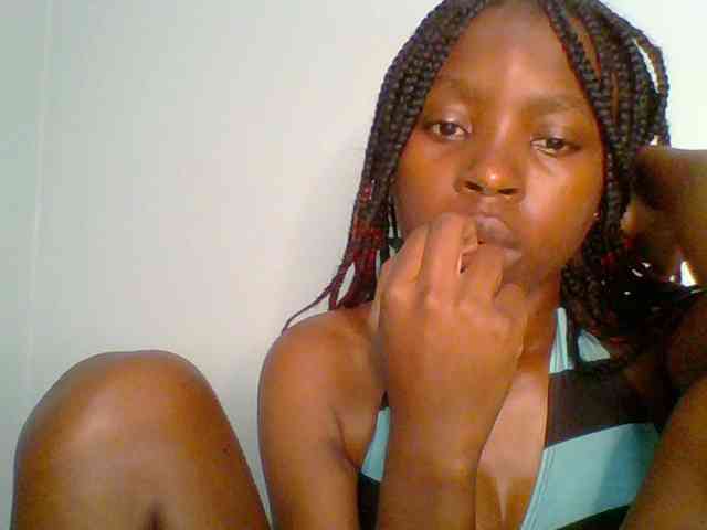 chocolate-brownie webcam