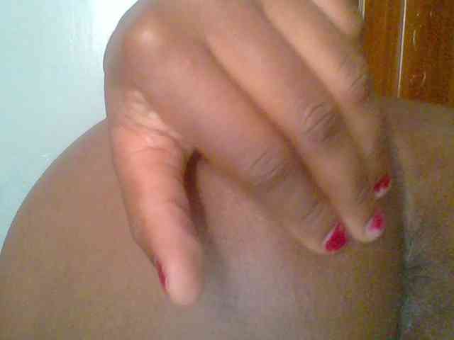 chocolate-brownie webcam