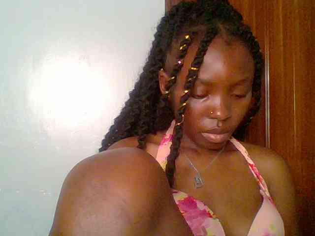 chocolate-brownie webcam