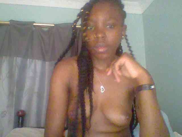 chocolate-brownie webcam