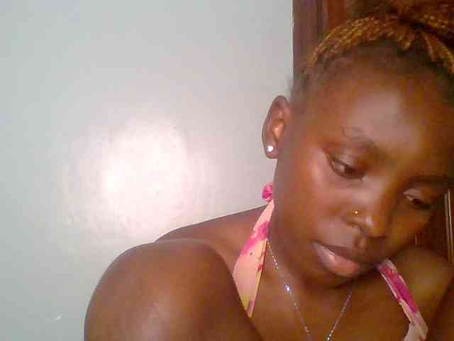 chocolate-brownie webcam